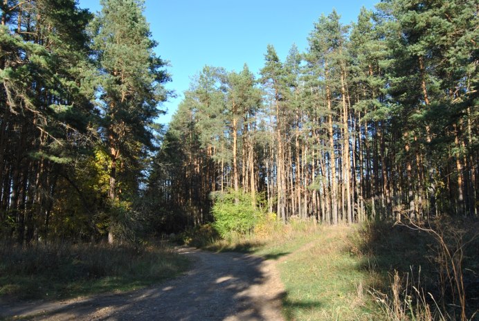 Природа Орловской области