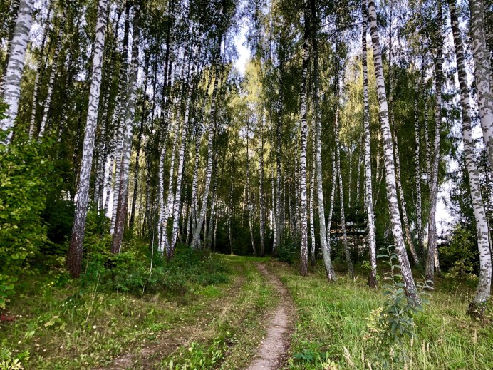 Орел в полете