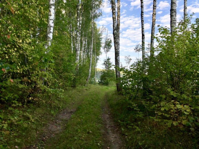 Полет птицы