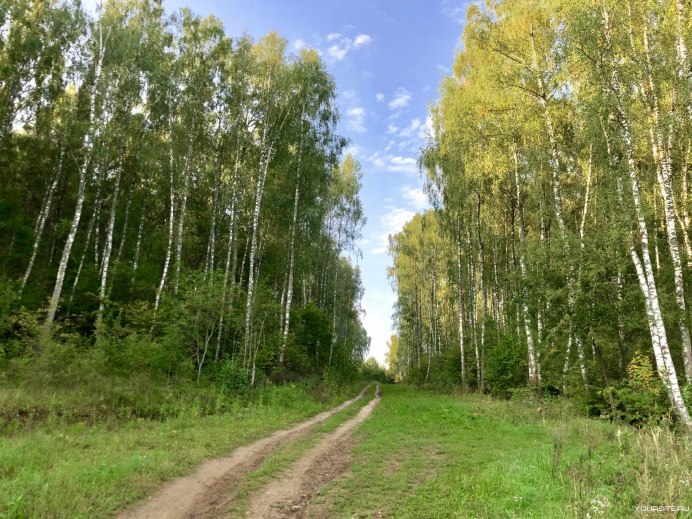 Хищные птицы Абхазии