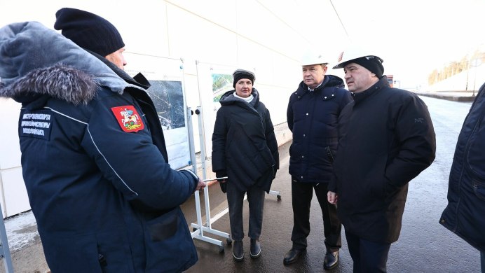 Стая Воробьев зимой
