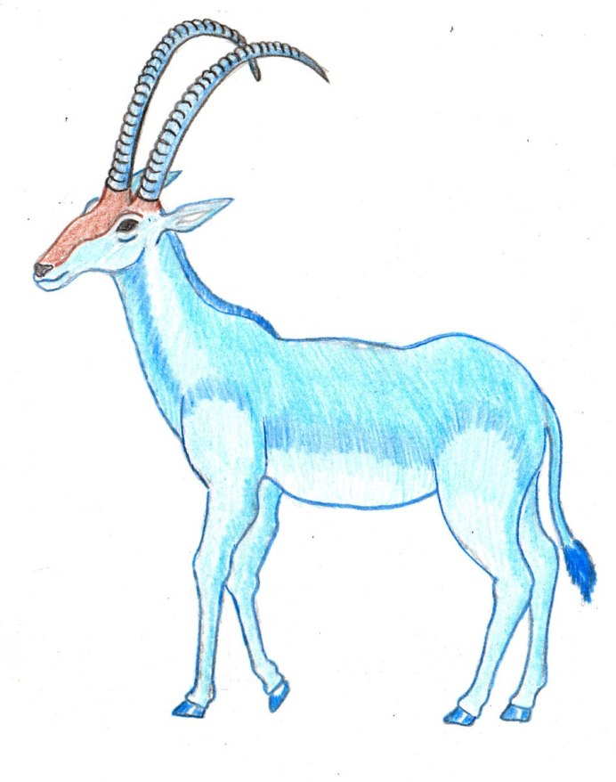 Hippotragus Leucophaeus
