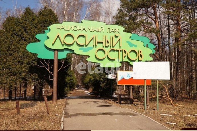 Рябая Чайка фото