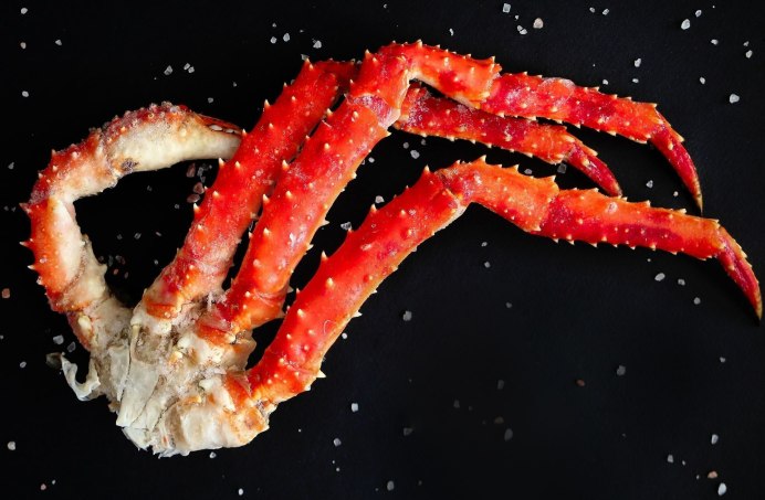 Spotted Anemone Crab