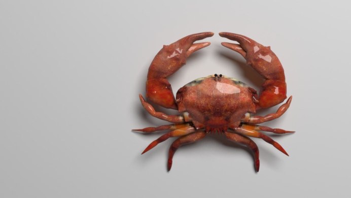 Леденцовый краб