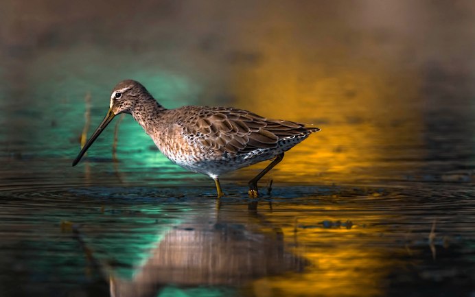 Картинки на рабочий стол