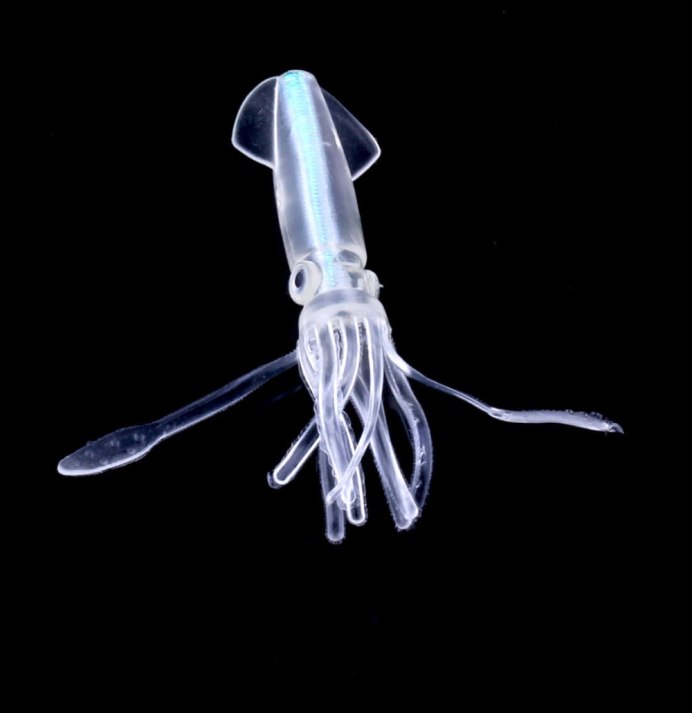 Светонакопительные приманки