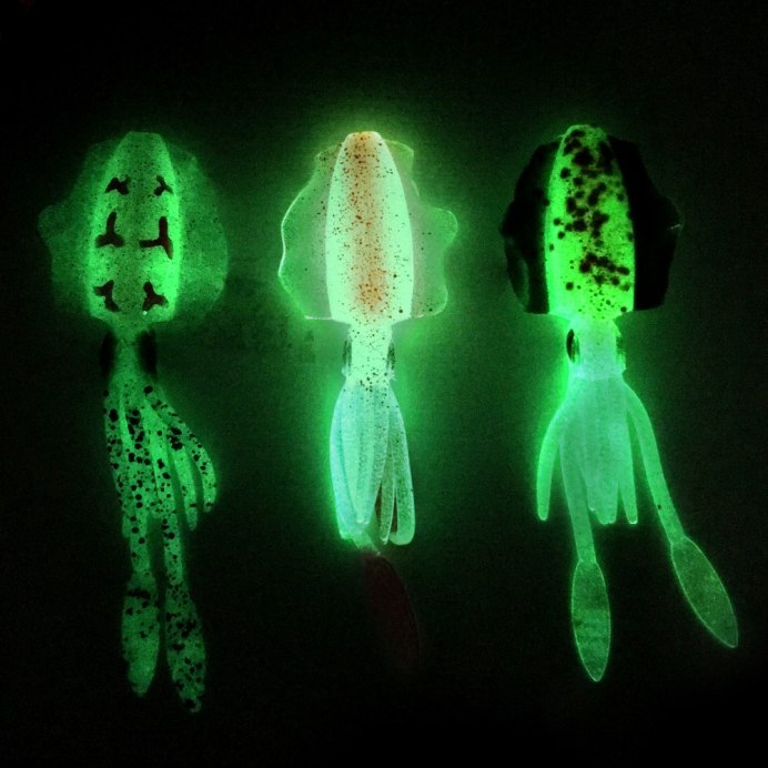 Кальмар морской