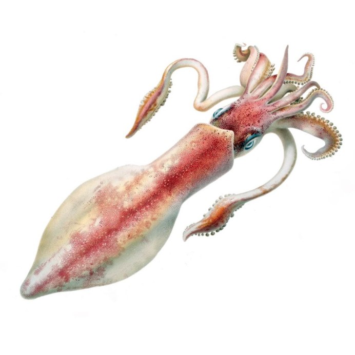 Barotrauma монстры