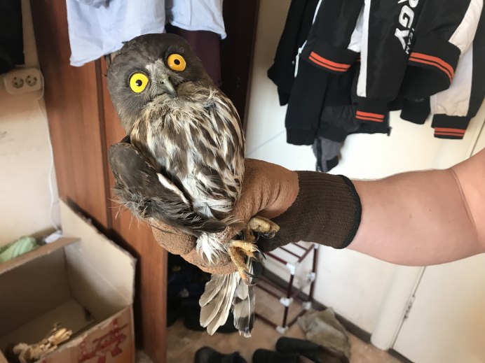 Иду на любимую работу