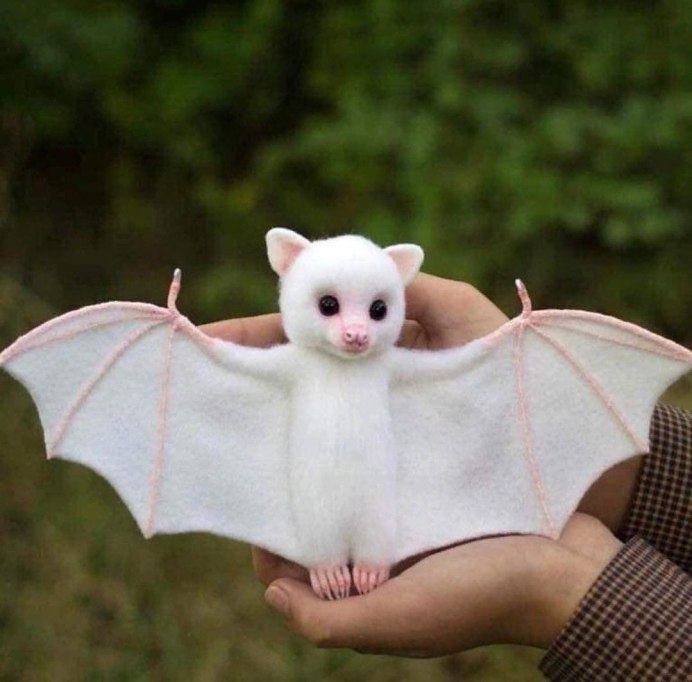 Землеройкообразный длинноязыкий вампир