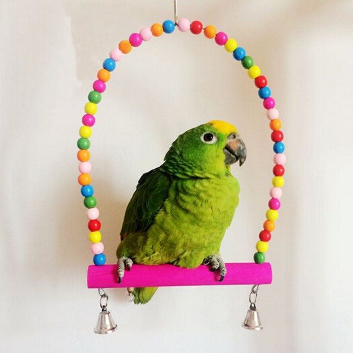 Домашние волнистые попугайчики