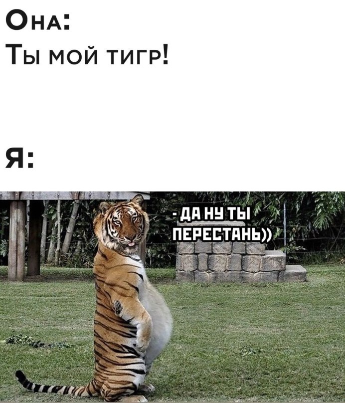 Смешной тигр