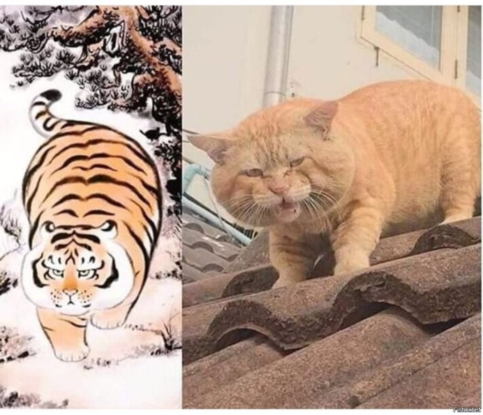 Пухлый тигр рисунок