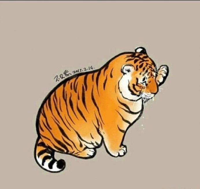 Амурский тигр