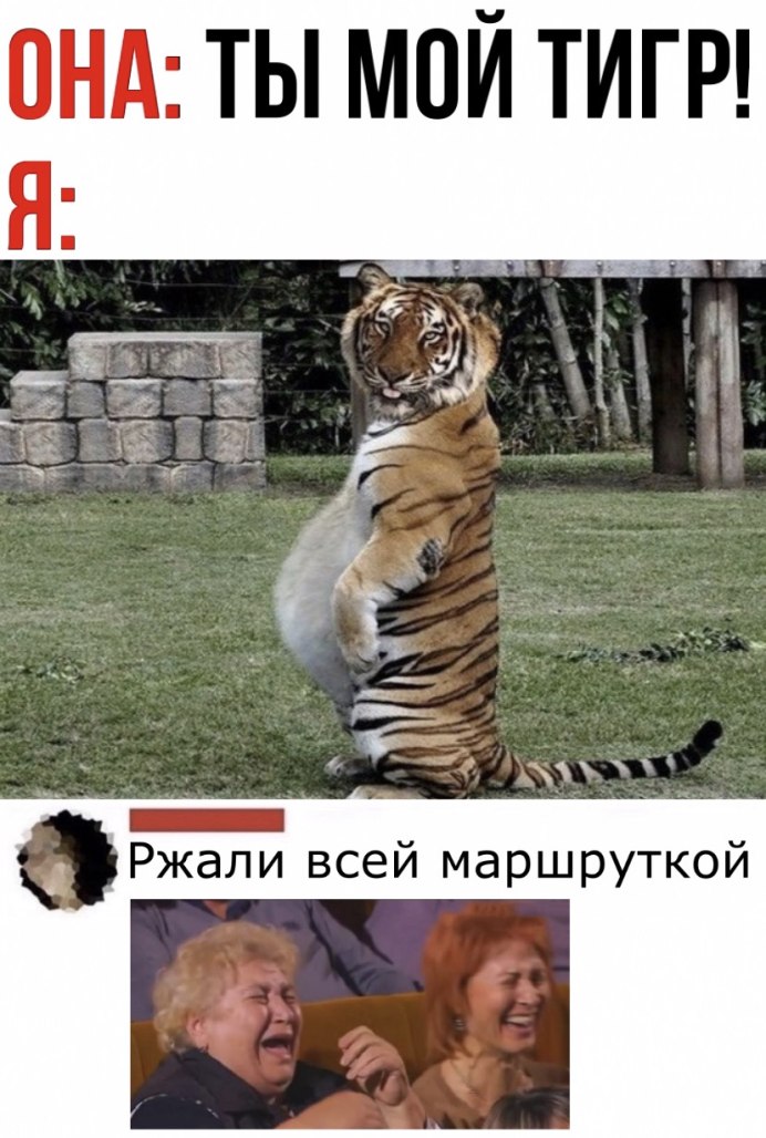Пухленький тигр