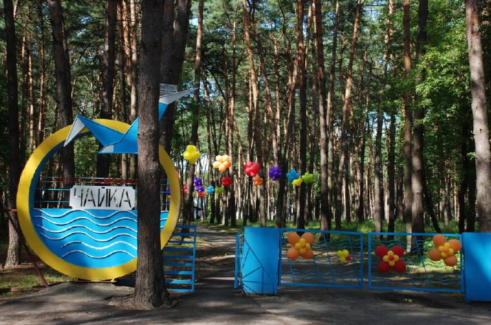 Дол Чайка Сыктывкар