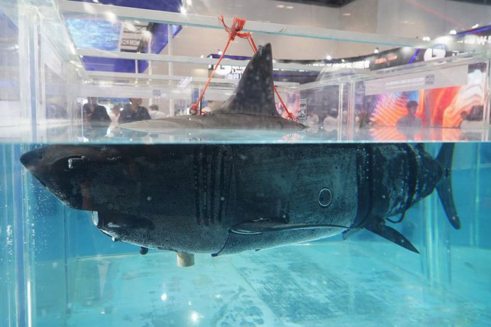 Белая акула в океанариуме