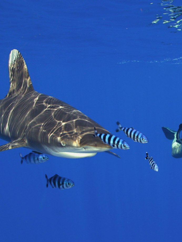 Китайский подводный беспилотник
