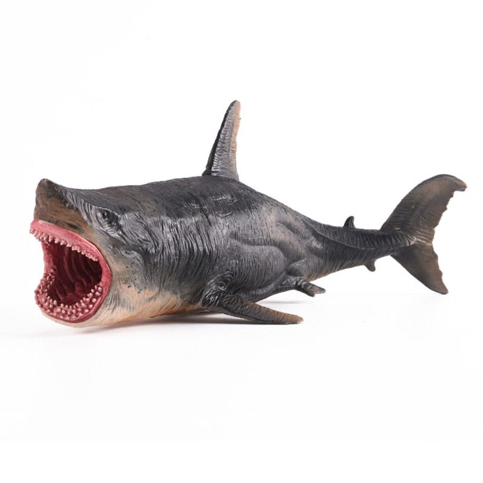 Катран сельдевая акула