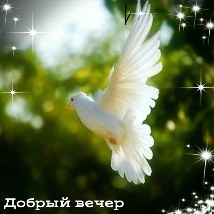 Мирное небо