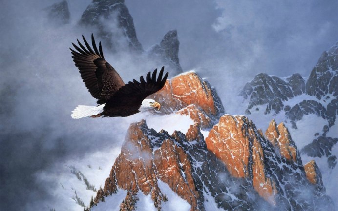 Лилия bald Eagle