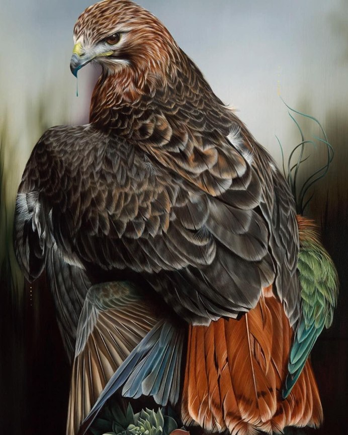 Тундровая куропатка