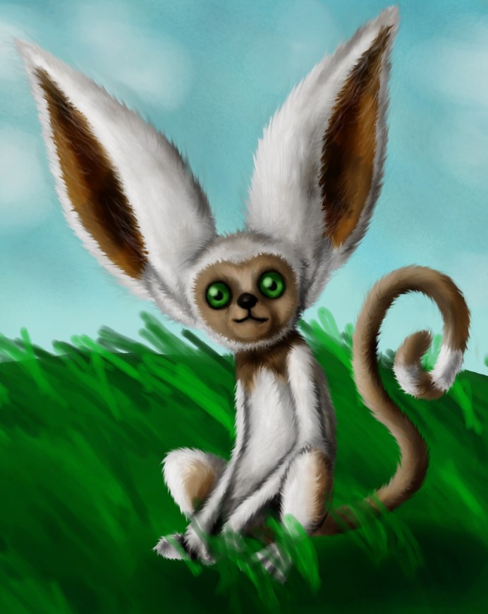 Малайский шерстокрыл детеныш