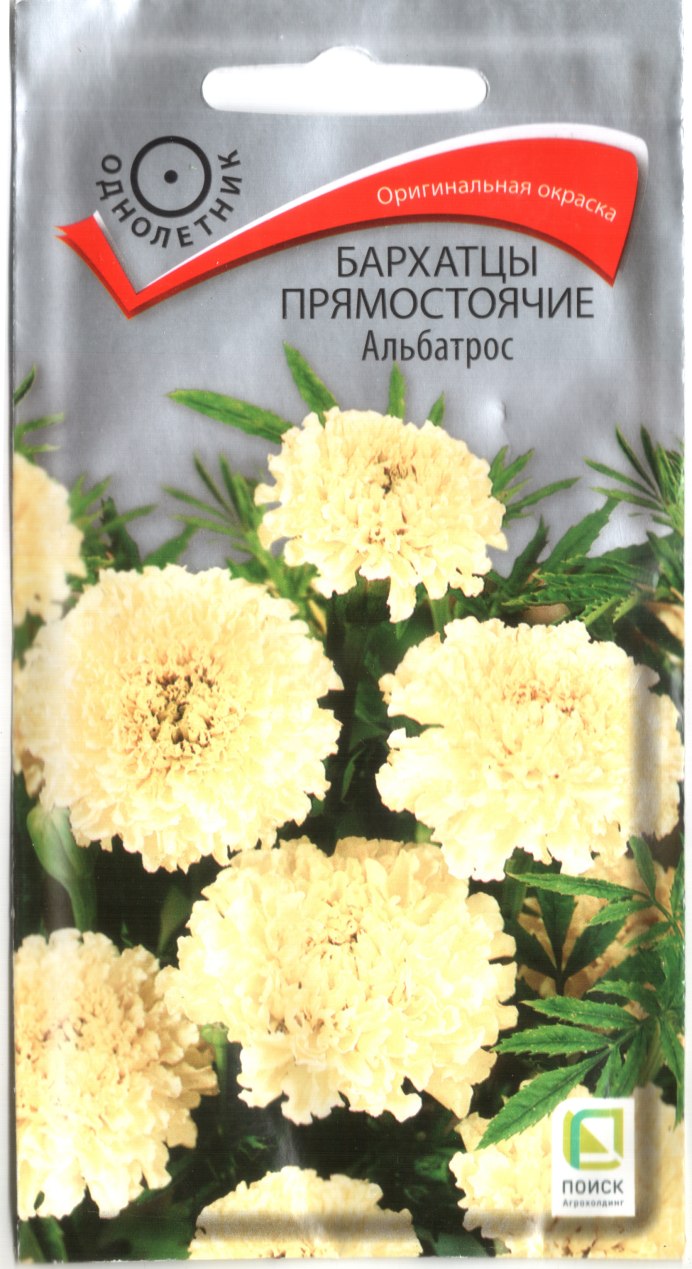 Бархатцы Тагетес Мэриголд