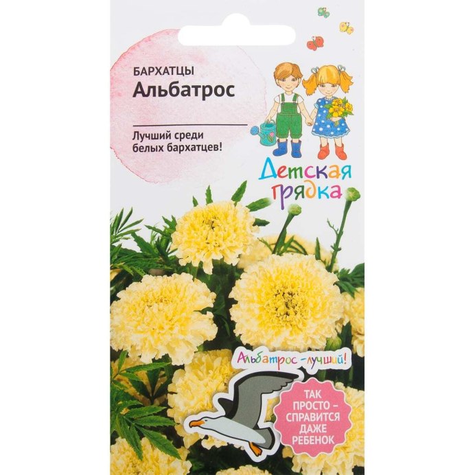 Бархатцы Килиманджаро