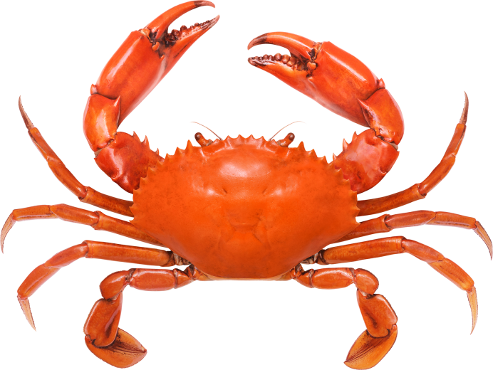 Джиллиан краб