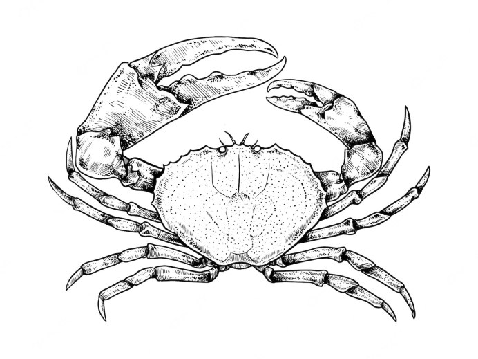 Краб Канцер