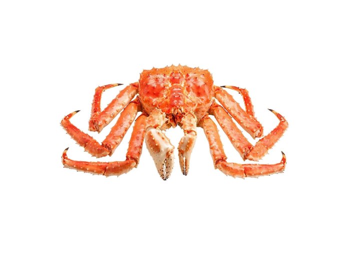 Маленький белый краб