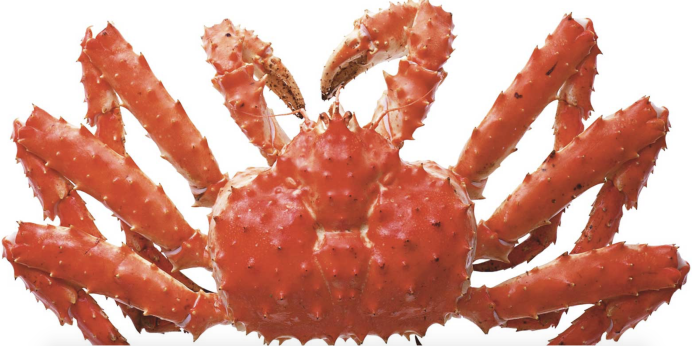 Краб на прозрачном фоне для фотошопа