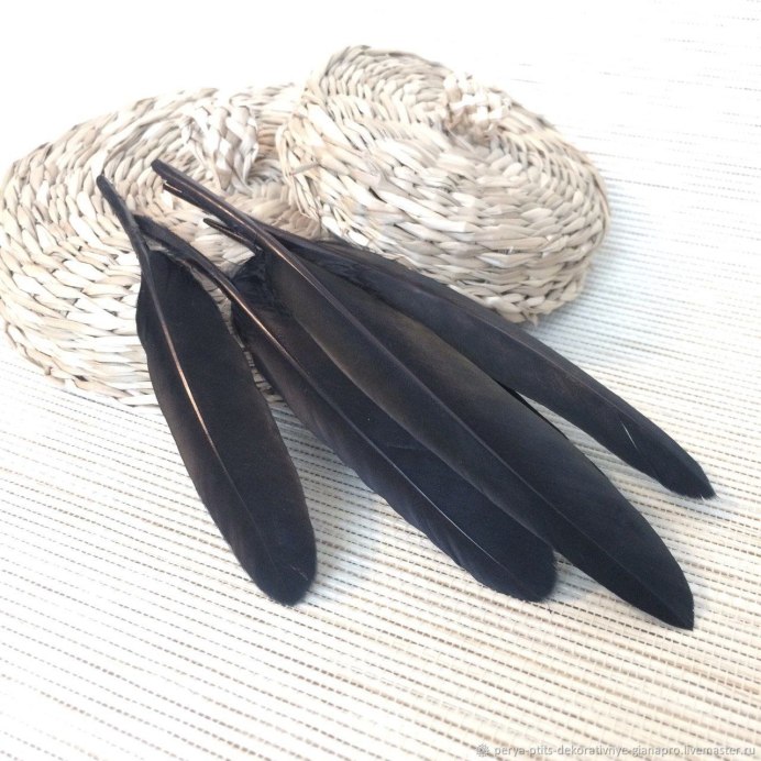 Утиное перо