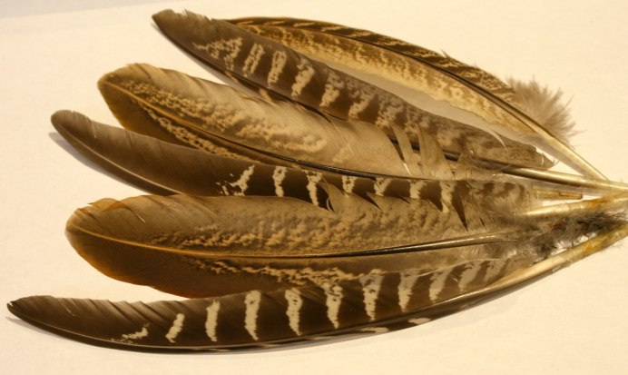 Утки гуси бекасы