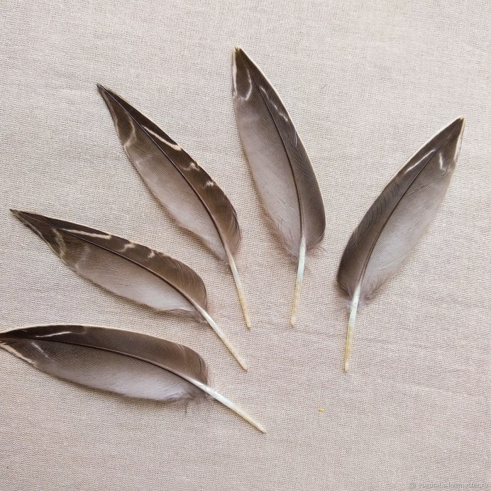 Очень странные дела утка утка