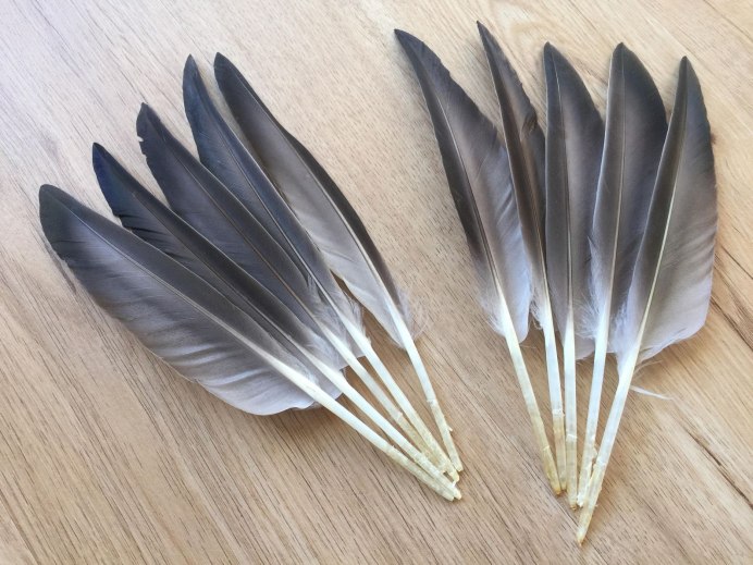 Утка Мандаринка с утятами