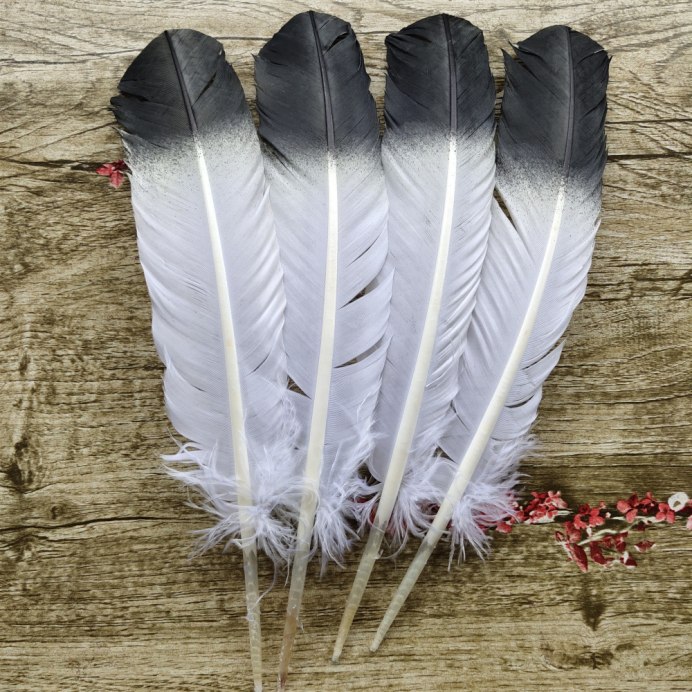 Птица утка шипун на Кубани