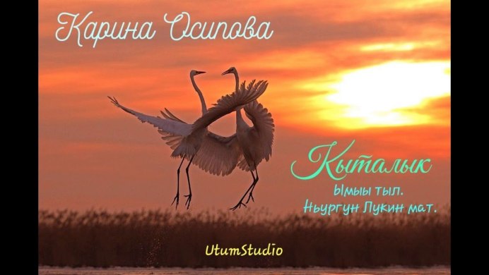 Птицы на закате