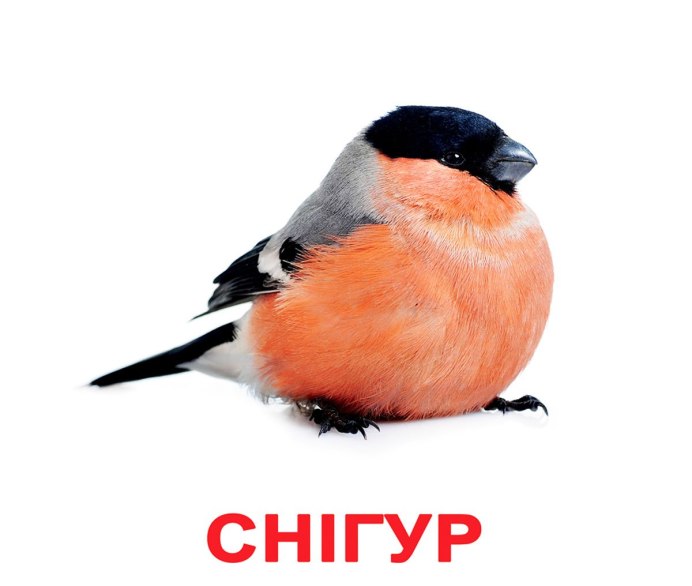 Снегирь мультяшный