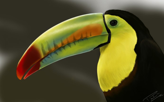Toucan Duo by lotusinhand