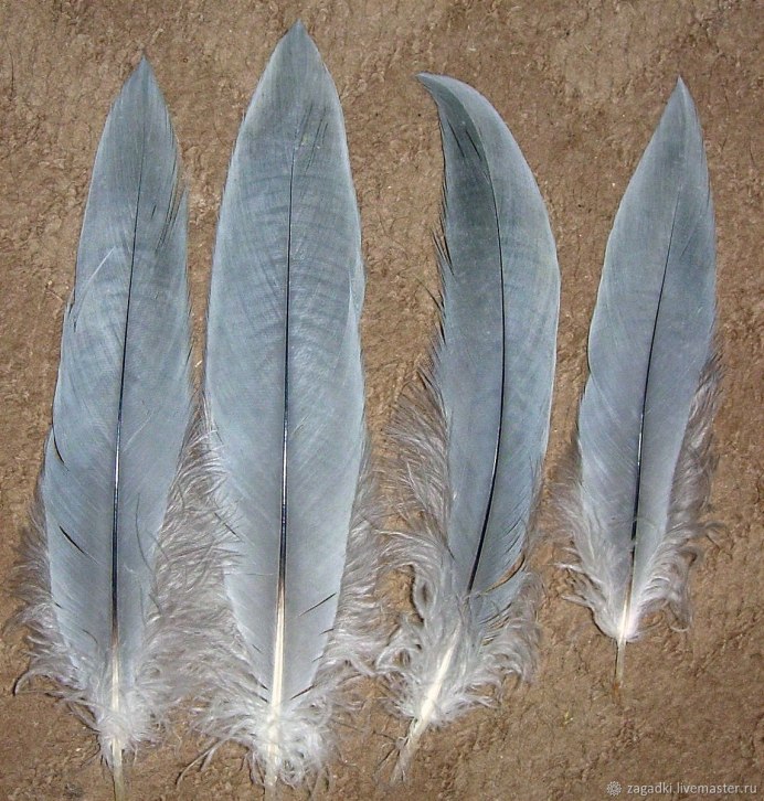 Птичье перо