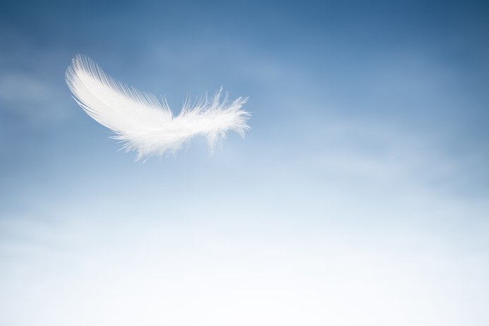 Перья в небе