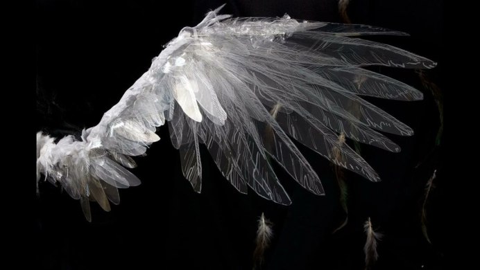 Крылья ангела