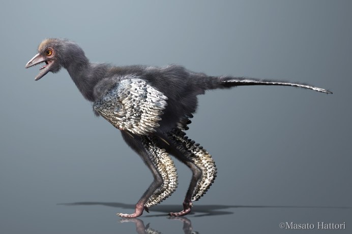 Могильник (Aquila heliaca)