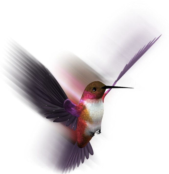 Yellow calibri Bird PNG