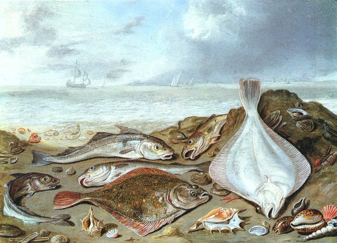 Аротрон стеллатус