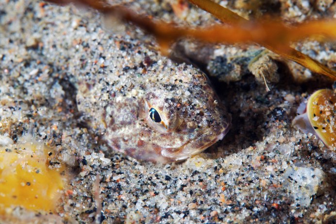 Мурманский моряк Роман Федорцов