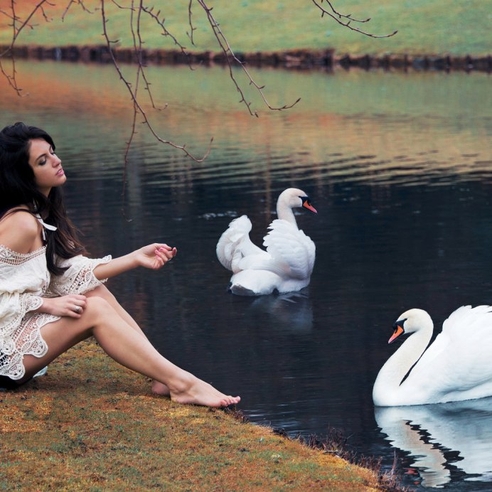 Фотосессия с лебедем